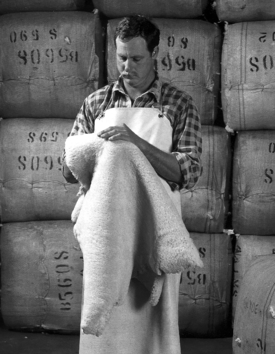 Grading fleece in the wool store